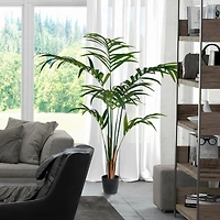 6ft. Potted Kentia Palm