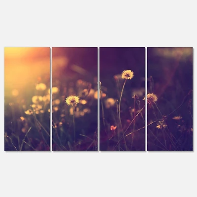 Designart - Vintage Dandelion Meadow Photo