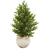 3ft. Olive Cone Topiary Tree in Sand Stone Planter