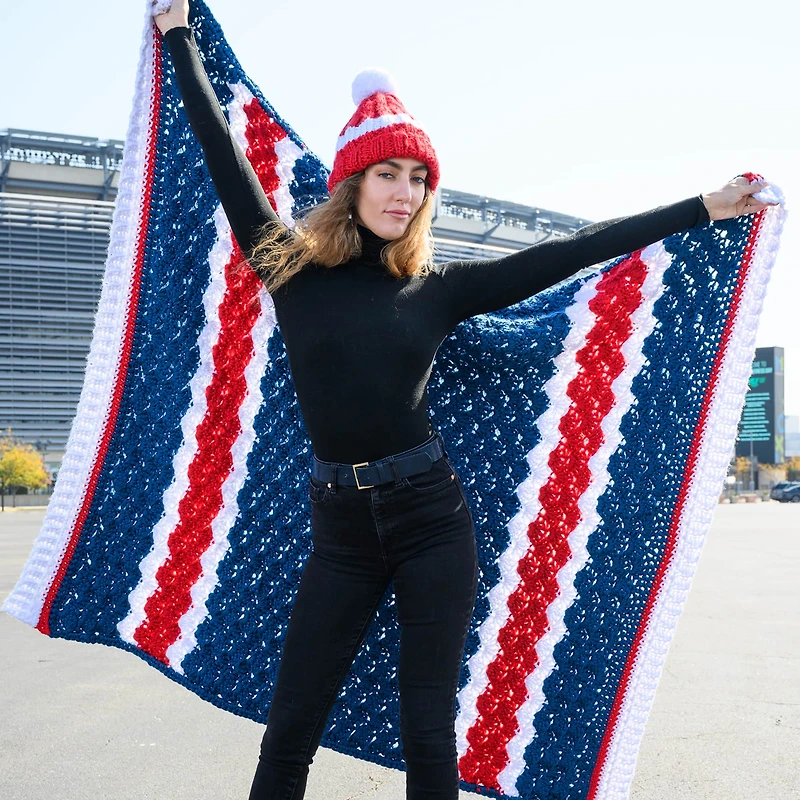 Lion Brand® Hometown® Bonus Bundle® Solid Yarn