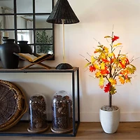 4ft. Pre-Lit Autumn Maple Artificial Fall Tree with Pinecones, Acorns and 60 Warm White LED Lights