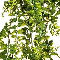 2.5ft. Green Buckler Fern Vine