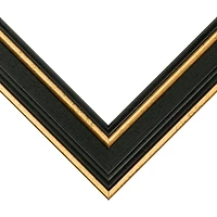 Frame USA Olympic Gold Single Image Picture Frame