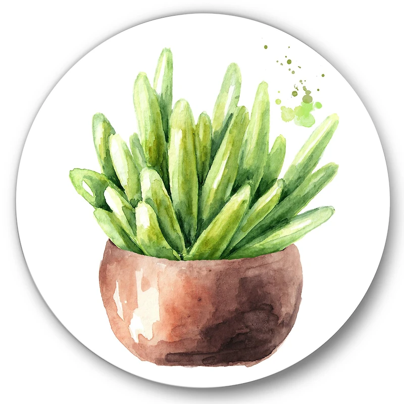Designart - Succulent Flower In Terracotta Pot I