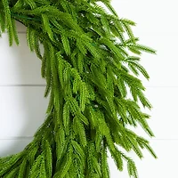 24in. Pre-Lit Artificial Real Touch Norfolk Island Pine Wreath with 50 Warm White LED Lights and Natural Look