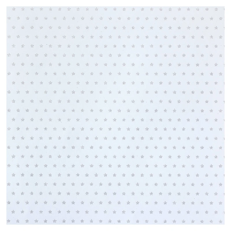 Silver Star Cardstock Paper by Recollections™, 12" x 12"