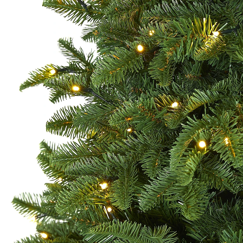 6ft. Pre-Lit Wyoming Fir Artificial Christmas Tree with Clear LED Lights 