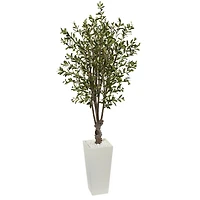 6ft. Olive Tree In White Tower Planter