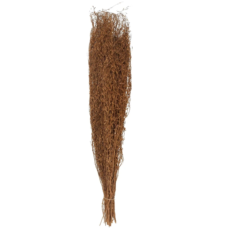 45" Brown Dried Natural Pampas Grass Foliage