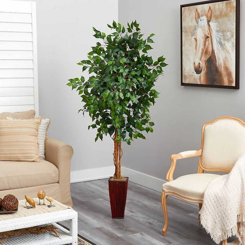 6ft. Ficus Tree in Bamboo Planter
