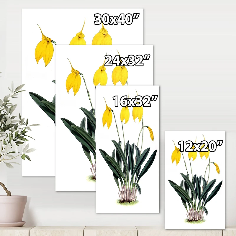 Designart - Retro Orchid Flowers