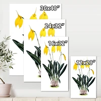 Designart - Retro Orchid Flowers