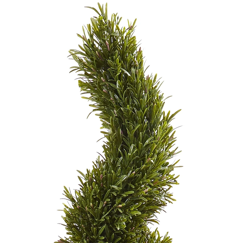 6ft. Potted Rosemary Spiral Tree