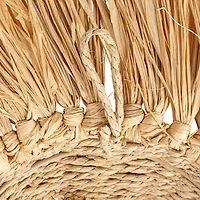 Hello Honey® 16.5" Natural Savannah King Raffia Lion Wall Art