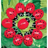 Yellow Door Ladybugs Counting Set, 22ct.