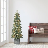 4ft. Pre-Lit Flocked Potted Trees with Battery-Operated Timer, 2ct.