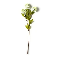 Snowball Spray Floral Essentials by Ashland®