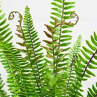 3ft. UV Resistant Artificial Boston Fern Potted Plant with Real Touch Leaves (Indoor/Outdoor)