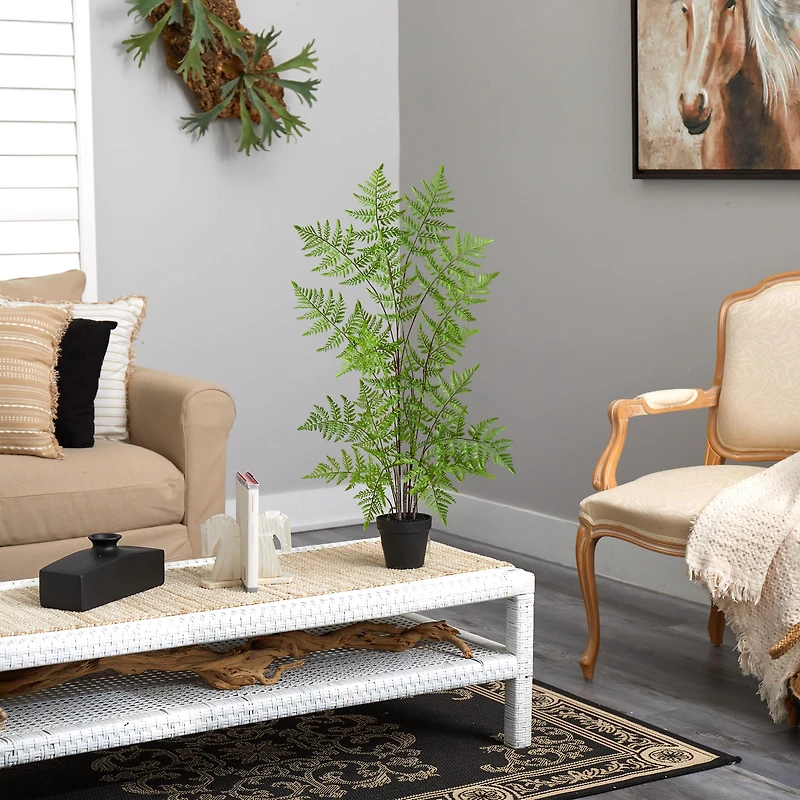 2.5ft. Potted Ruffle Fern Tree