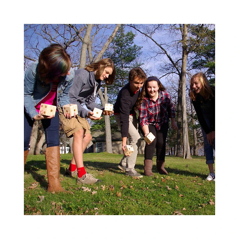 Jumbo Wooden Dice