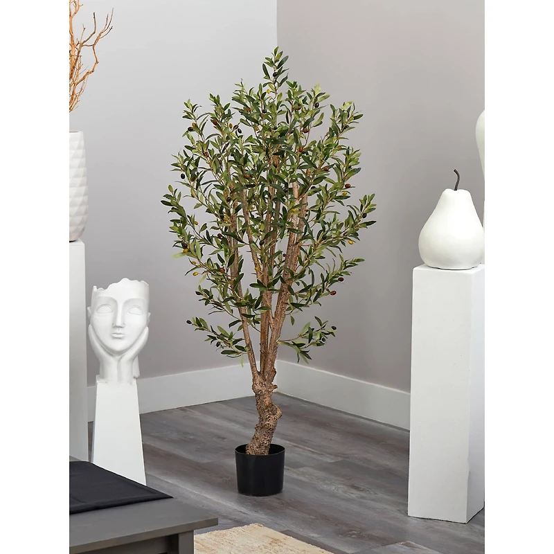 5ft. Potted Olive Tree