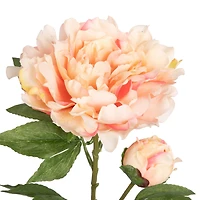 28.5" Peach Peony Real Touch Stem by Ashland®