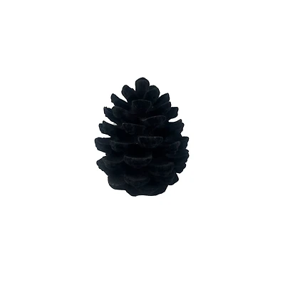 5" Black Flocked Pinecone Tabletop Décor by Ashland®