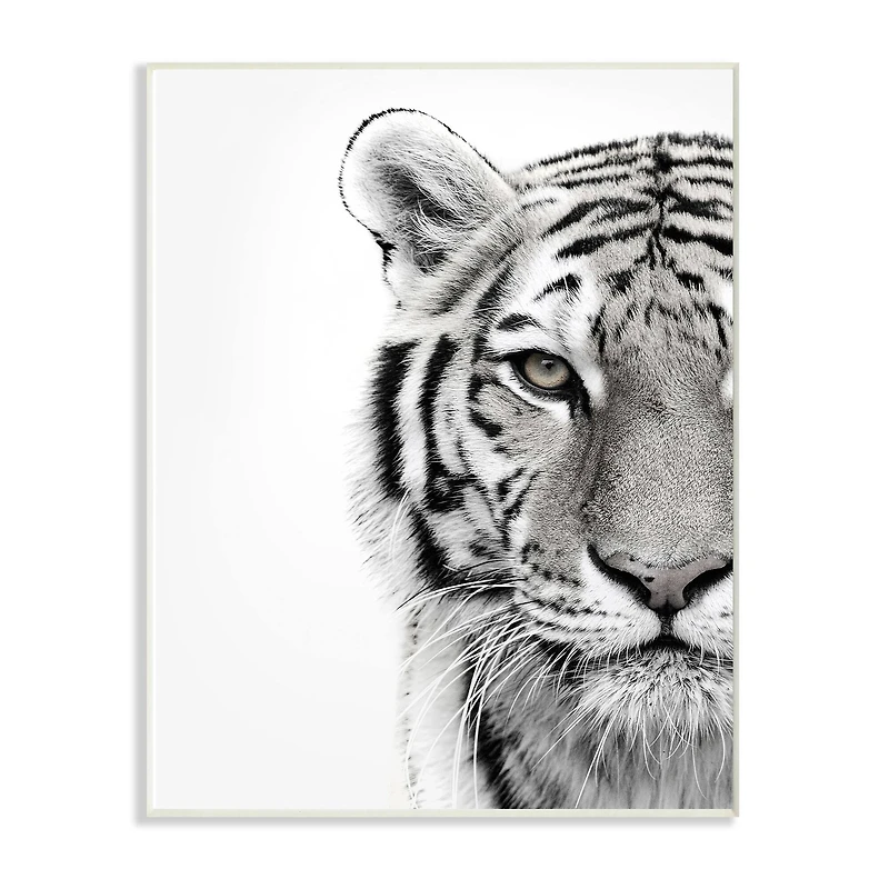 Stupell Industries Black & White Tiger Close Up Wall Plaque