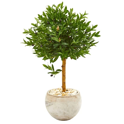 3ft. Olive Topiary Tree in Bowl Planter