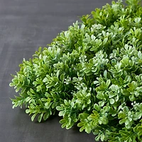 Large Boxwood Mat by Ashland®