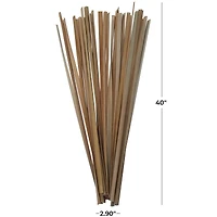 3.5ft. Natural Light Brown Dried Plant Foliage with Slender Stems