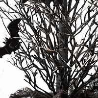 Glitzhome® 20" Lighted Halloween Bats Table Tree Decor