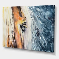 Designart - Close-Up of A Beautiful Horses Eye II