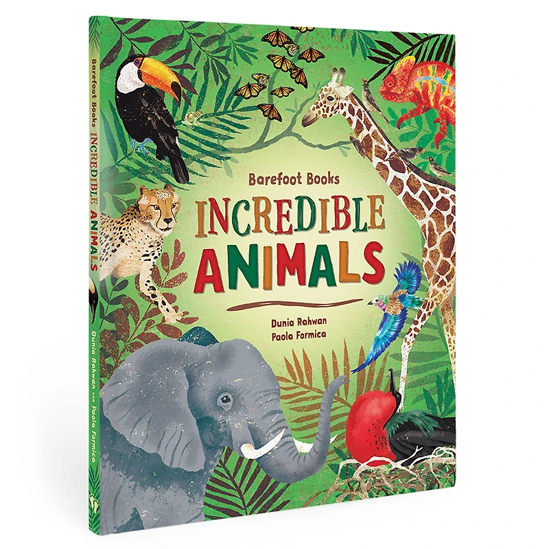 Barefoot Books 3rd Grade STEAM Book Set