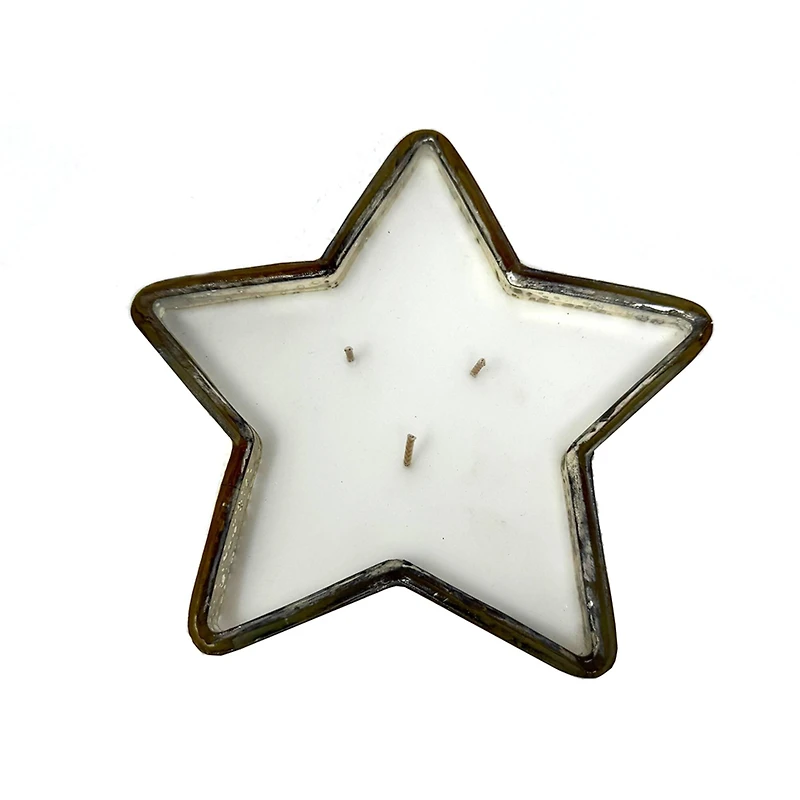 10oz. Frosted Berries Scented Glass Star Candle by Ashland®