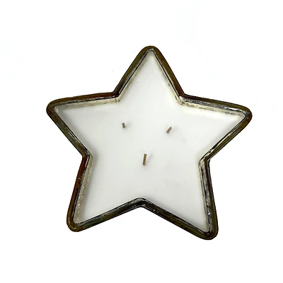 10oz. Frosted Berries Scented Glass Star Candle by Ashland®
