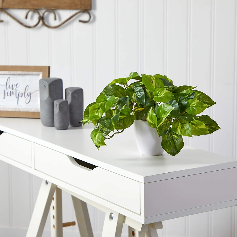 9" Variegated Pothos Plant in Decorative White Planter