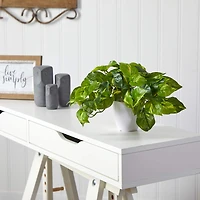 9" Variegated Pothos Plant in Decorative White Planter