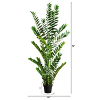 6ft. Artificial Zamioculcas Plant