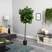 6ft. Potted Fiddle Leaf Tree