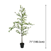 6ft. Potted Shady Lady Tree by Ashland®