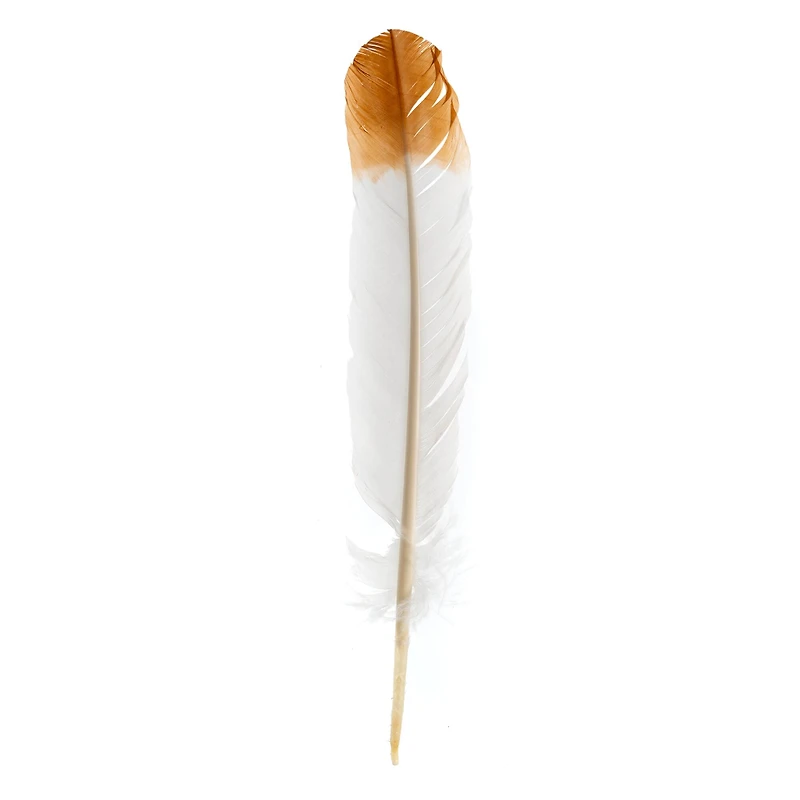 John Bead 12" White & Brown Imitation Eagle Feathers, 18ct.