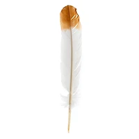 John Bead 12" White & Brown Imitation Eagle Feathers, 18ct.