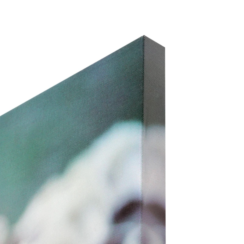 Good Shepherd Dog with Sheep Glossy Wall Art