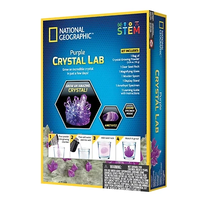 12 Pack: National Geographic™ Purple Crystal Lab