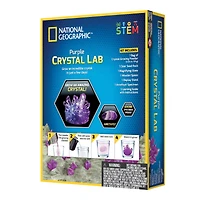 12 Pack: National Geographic™ Purple Crystal Lab