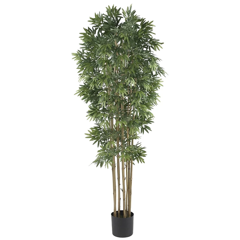 6ft. Potted Bamboo Japonica Silk Tree