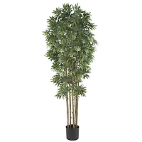 6ft. Potted Bamboo Japonica Silk Tree