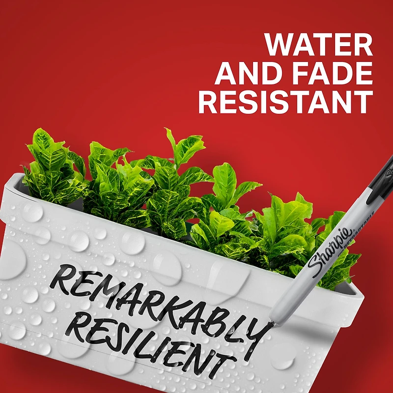 Sharpie® Fine Point Black Retractable Permanent Markers, 2ct.