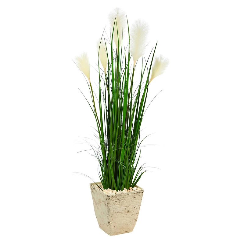 4.5ft. Wheat Plume Grass Plant in Country White Planter